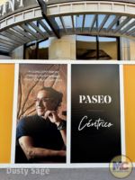 Disneyland Downtown Disney Paseo Centrico 1