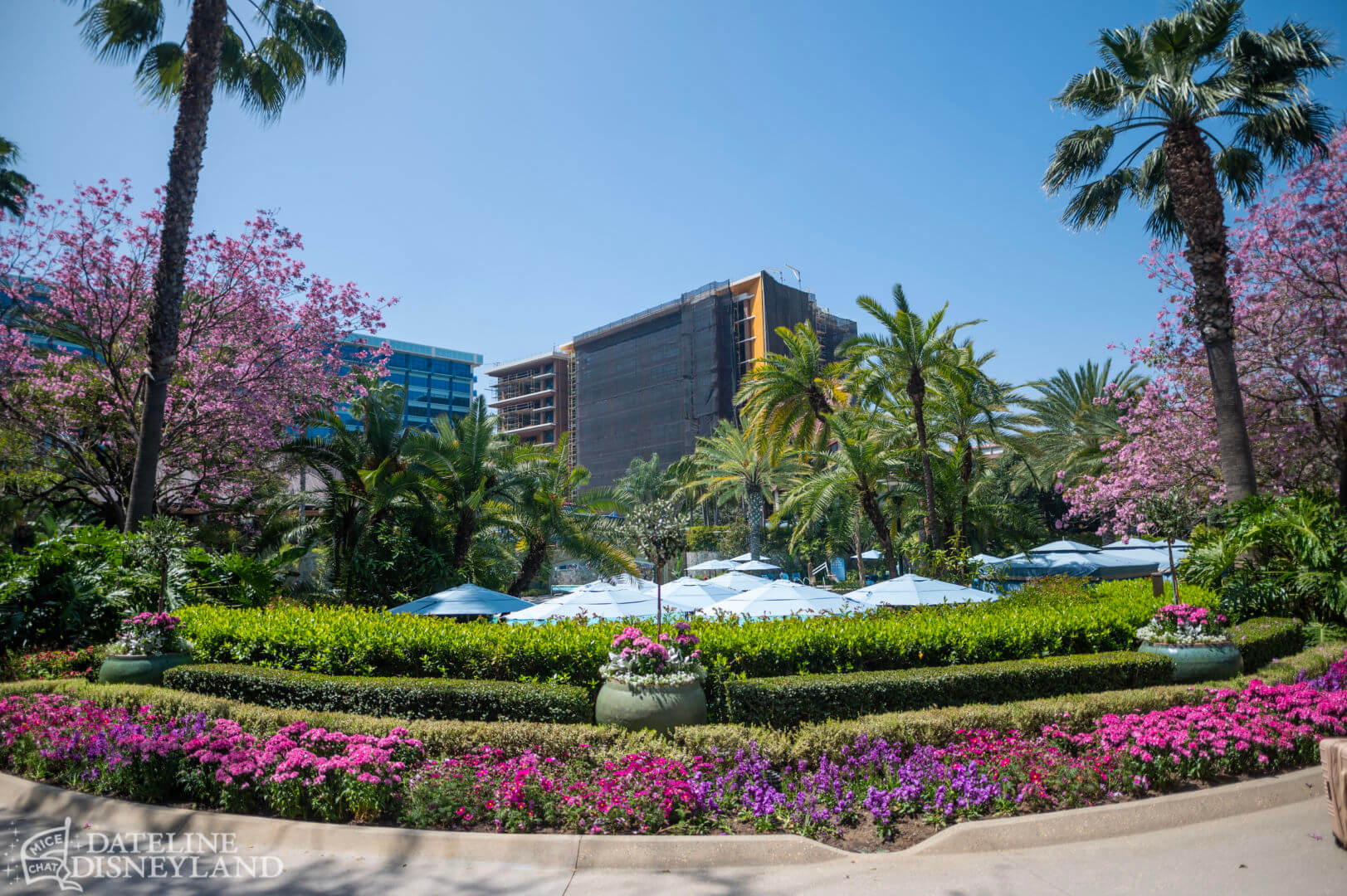 Disneyland, Disneyland Update: Fantasmic Aftermath, Spring Things & Construction Views