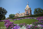 Disneyland Mickey floral Main Street station springtime DSC_4530-X5