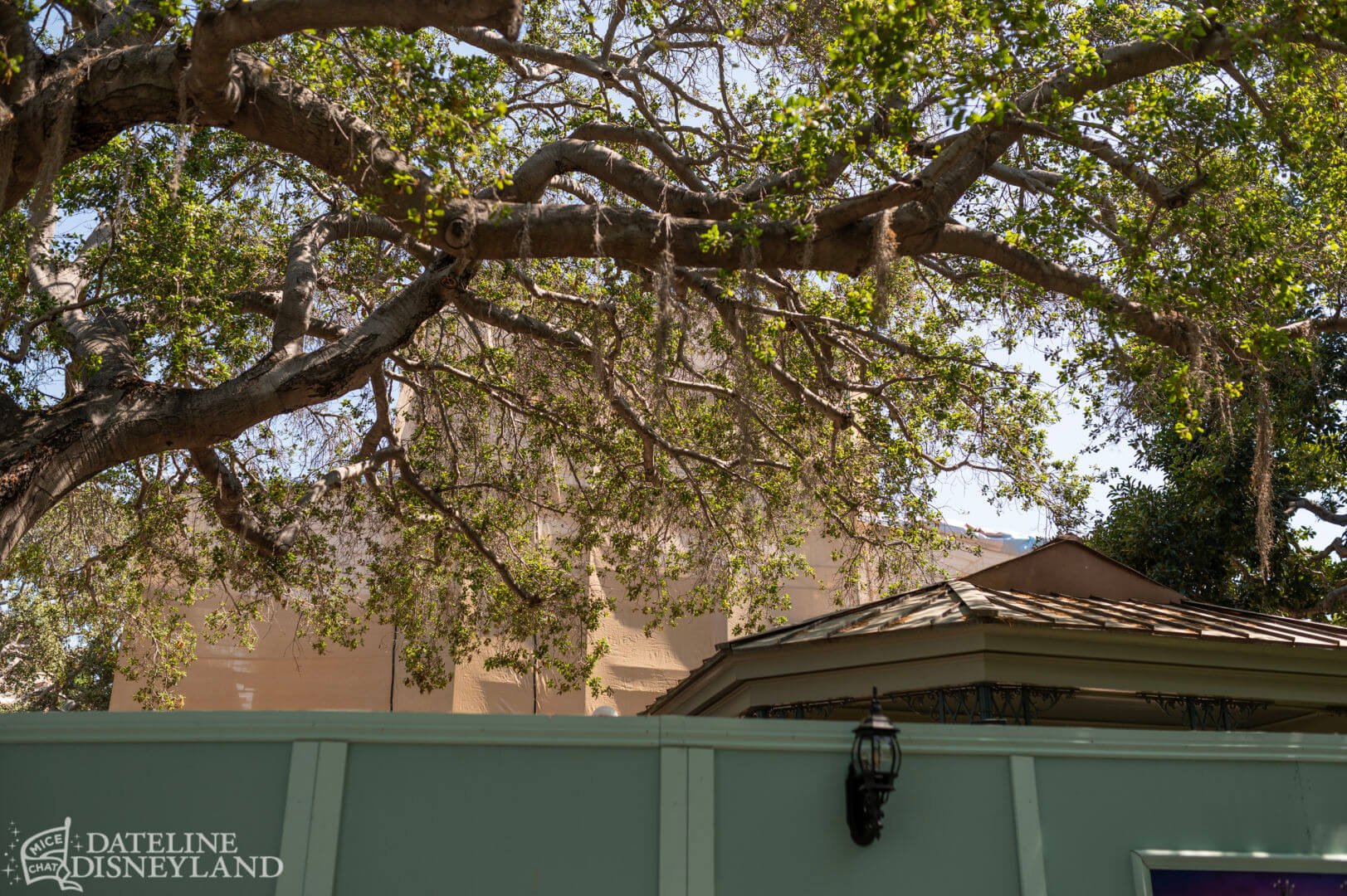 Disneyland, Disneyland Update: Fantasmic Aftermath, Spring Things & Construction Views
