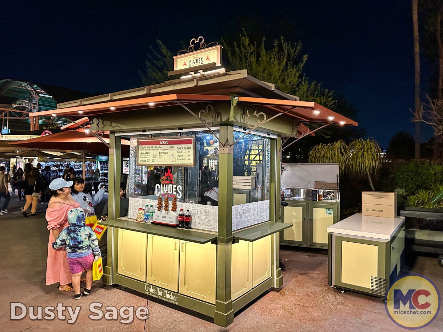 , Disneyland Update – From Doom to Bloom