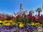 Disneyland News beauty DCA pixar pier garden MiceChat