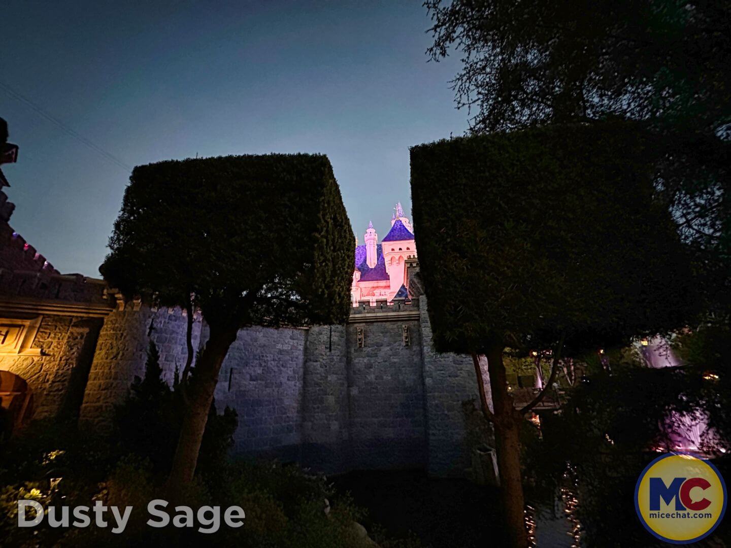 , DISNEYLAND UPDATE – Tickets Too High, Genie Too Low & Rogers The Musical!