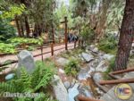 Disneyland News beauty earth day redwood creek MiceChat