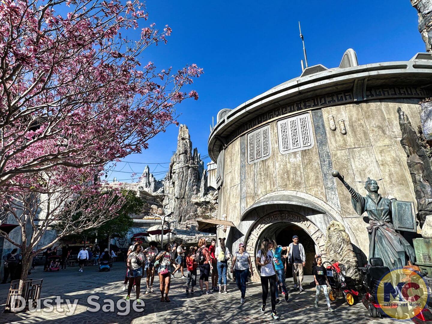 , DISNEYLAND UPDATE – Tickets Too High, Genie Too Low & Rogers The Musical!