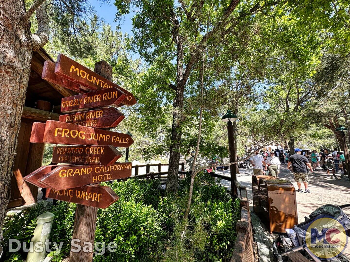 , Disneyland Update – From Doom to Bloom