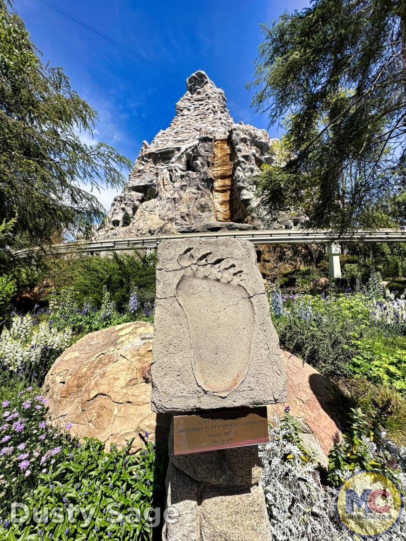 , Disneyland Update – From Doom to Bloom