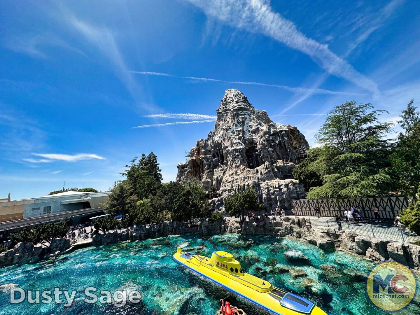 , Disneyland Update – From Doom to Bloom