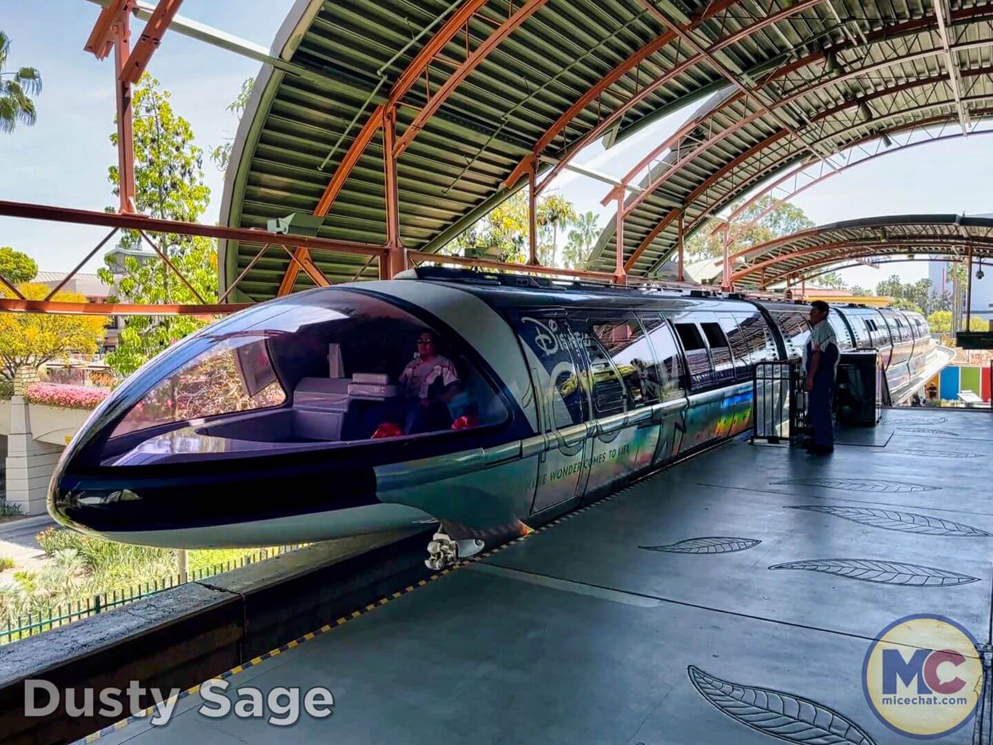 , Disneyland Update – From Doom to Bloom