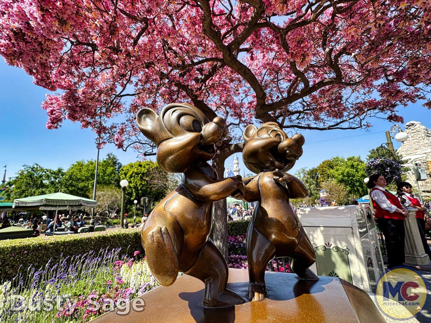 , Disneyland Update – From Doom to Bloom