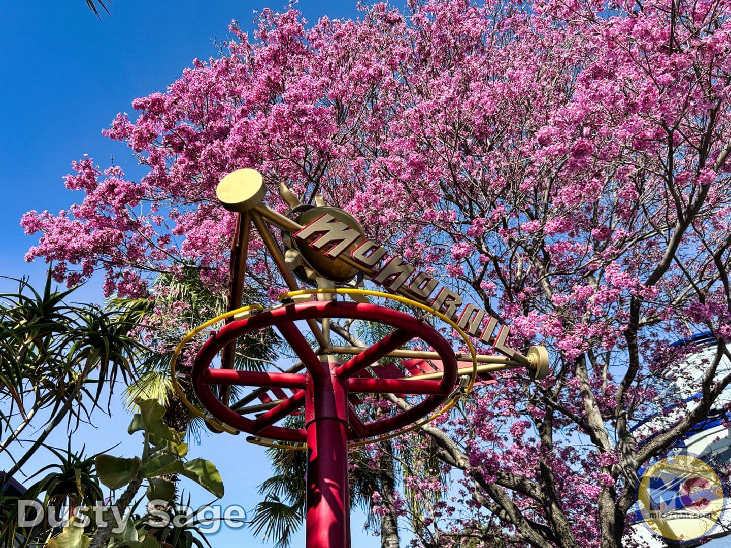 , Disneyland Update – From Doom to Bloom