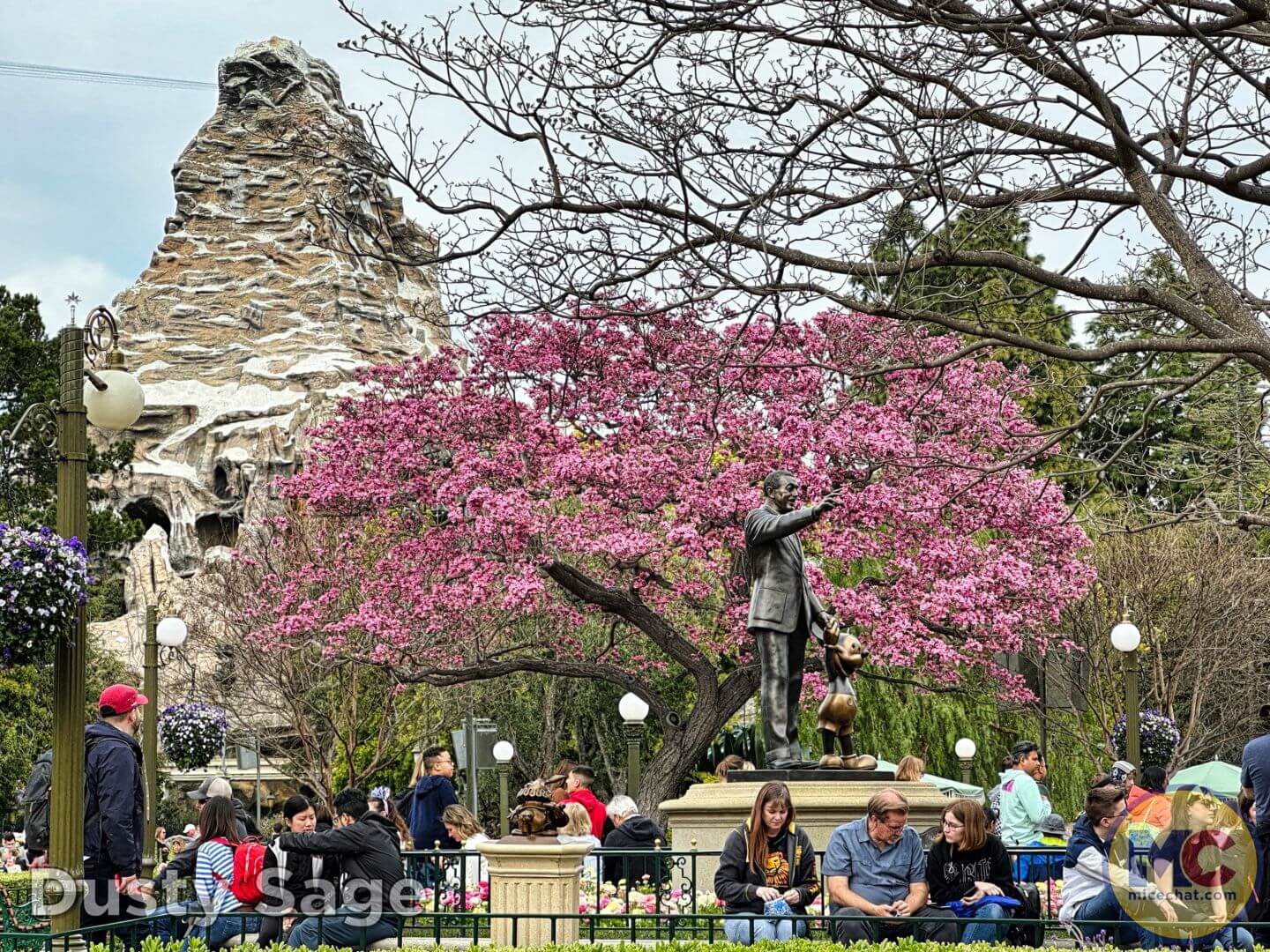, Disneyland Update: Rolling… Heads, Strollers & Easter Eggs
