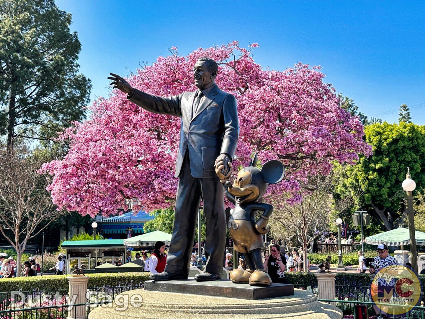 , Disneyland Update &#8211; From Doom to Bloom