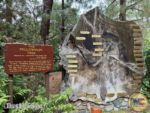 Disneyland News beauty redwood crosssection MiceChat