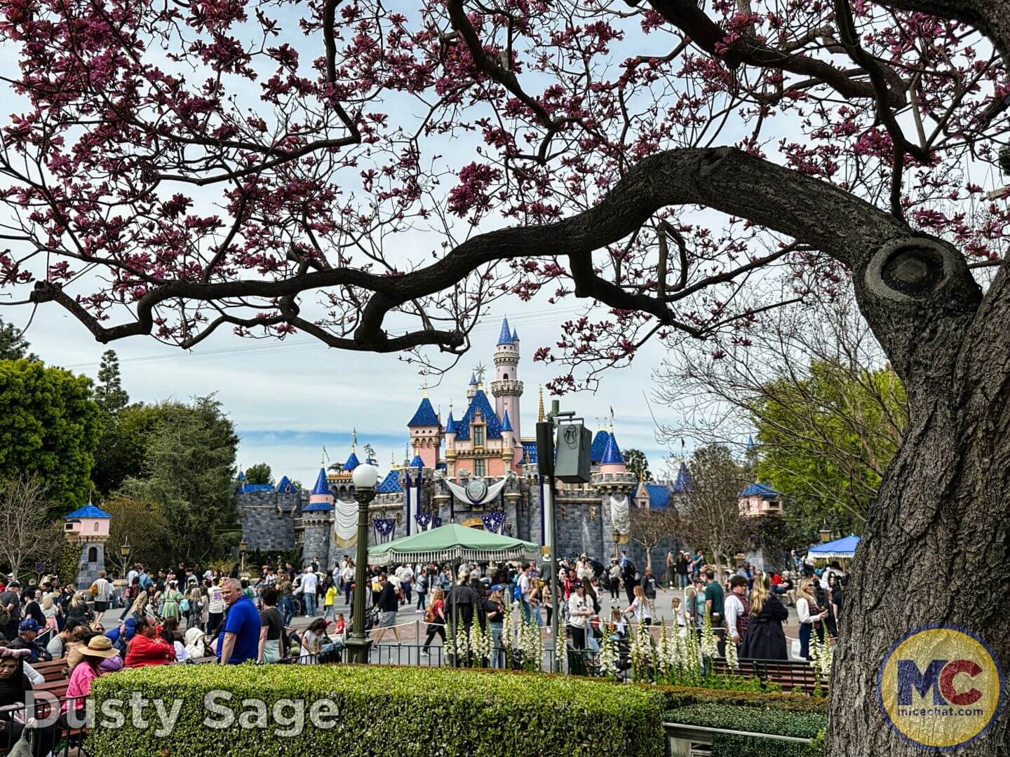 , Disneyland Update: Rolling… Heads, Strollers & Easter Eggs