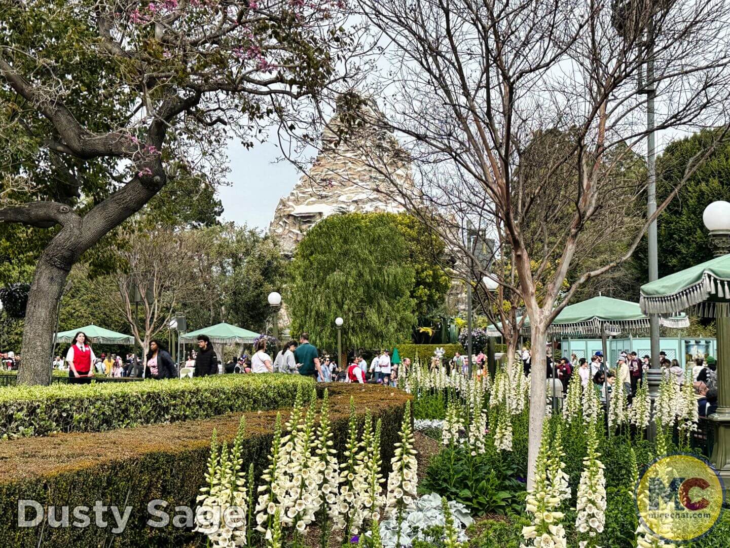 , Disneyland Update: Rolling&#8230; Heads, Strollers &#038; Easter Eggs