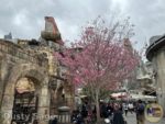 Disneyland News beauty star wars land pink trees 1 MiceChat