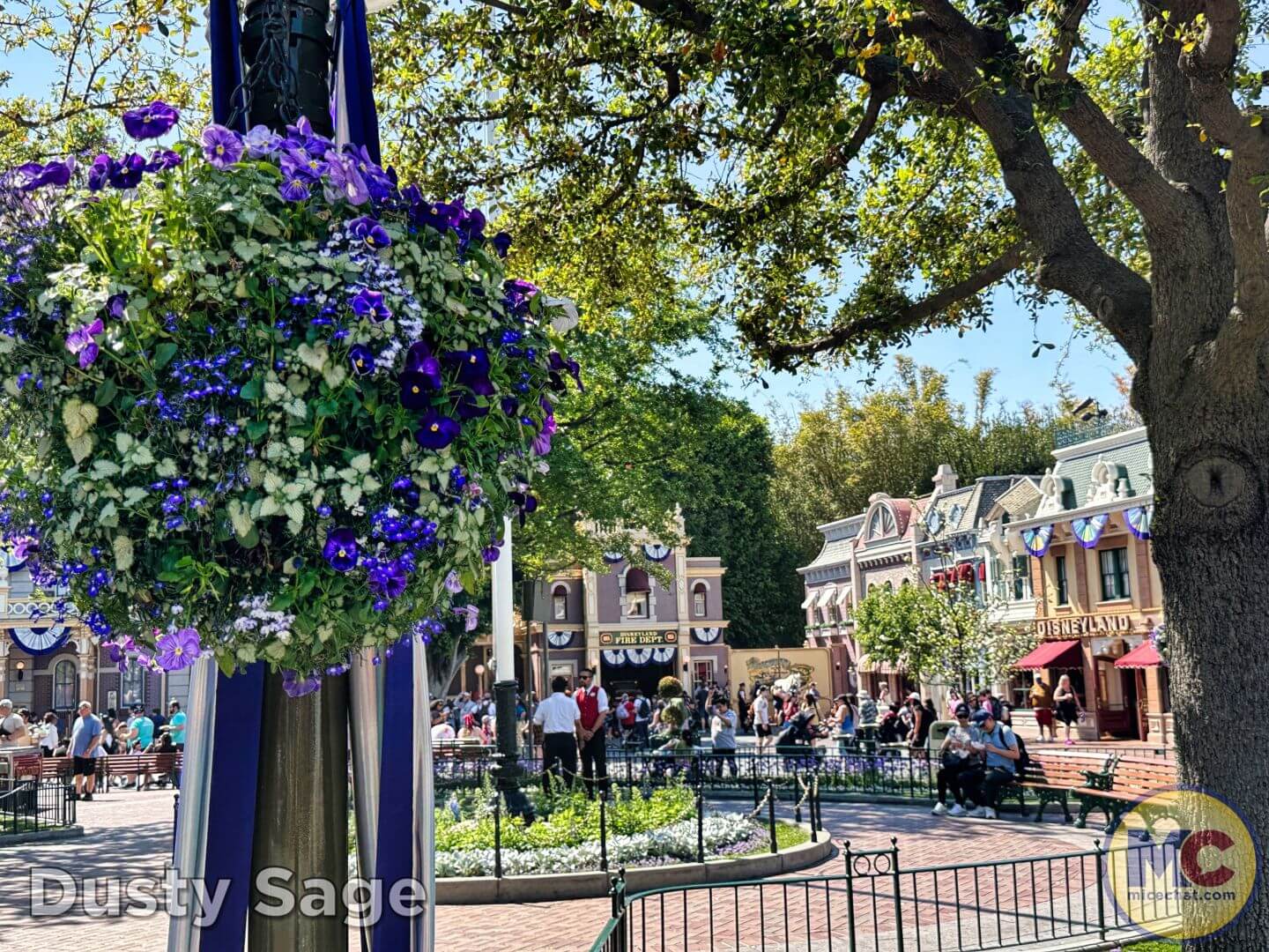 , Disneyland Update &#8211; From Doom to Bloom