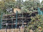 Disneyland News construction adventureland treehouse wide from bridge MiceChat