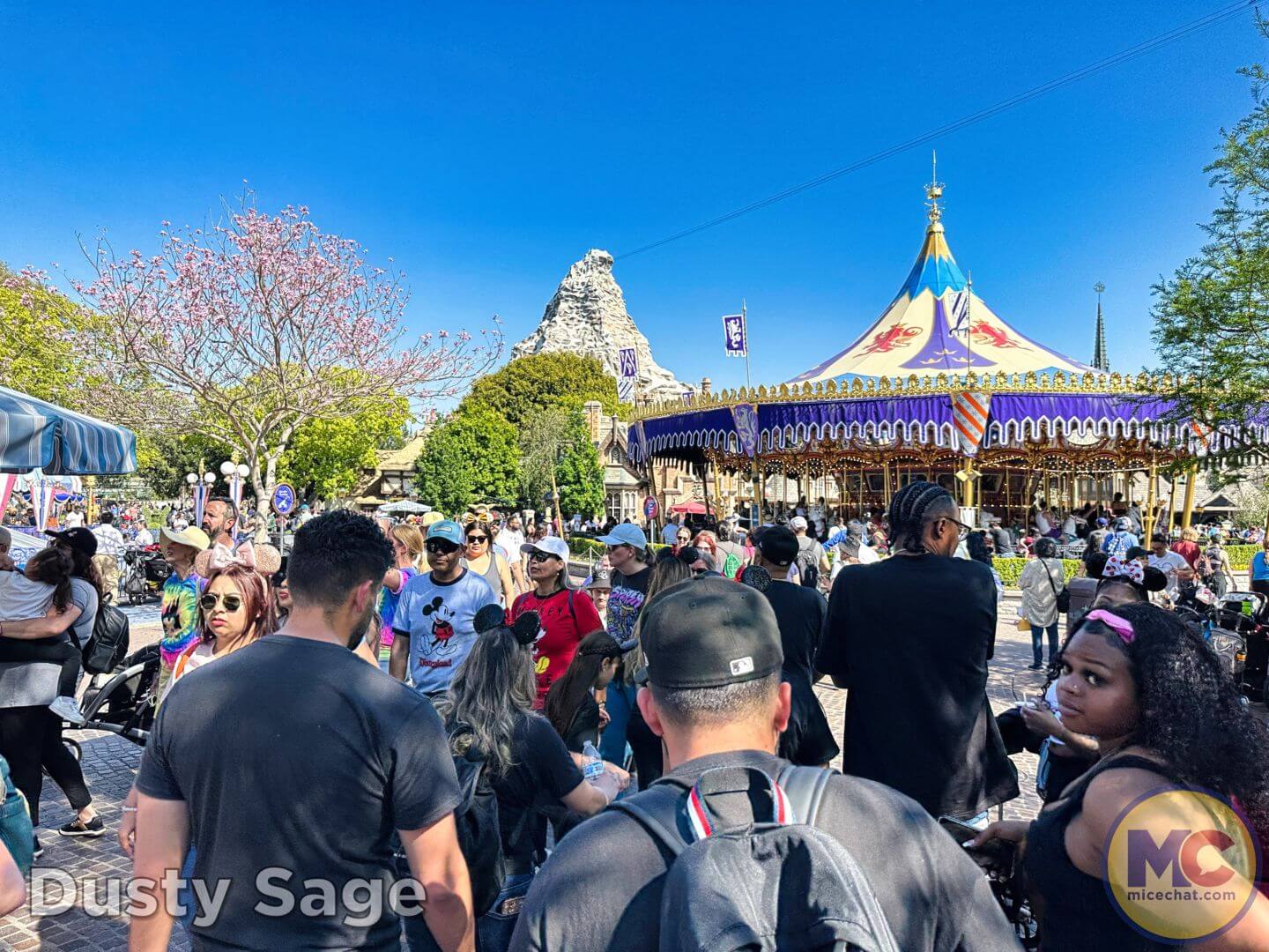 , Disneyland Update &#8211; From Doom to Bloom