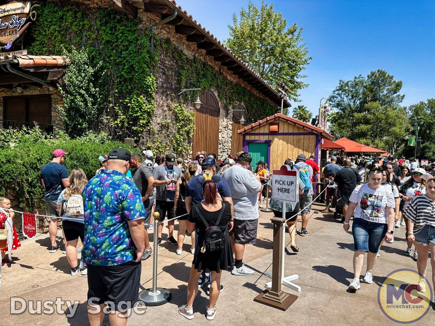 , Disneyland Update – From Doom to Bloom