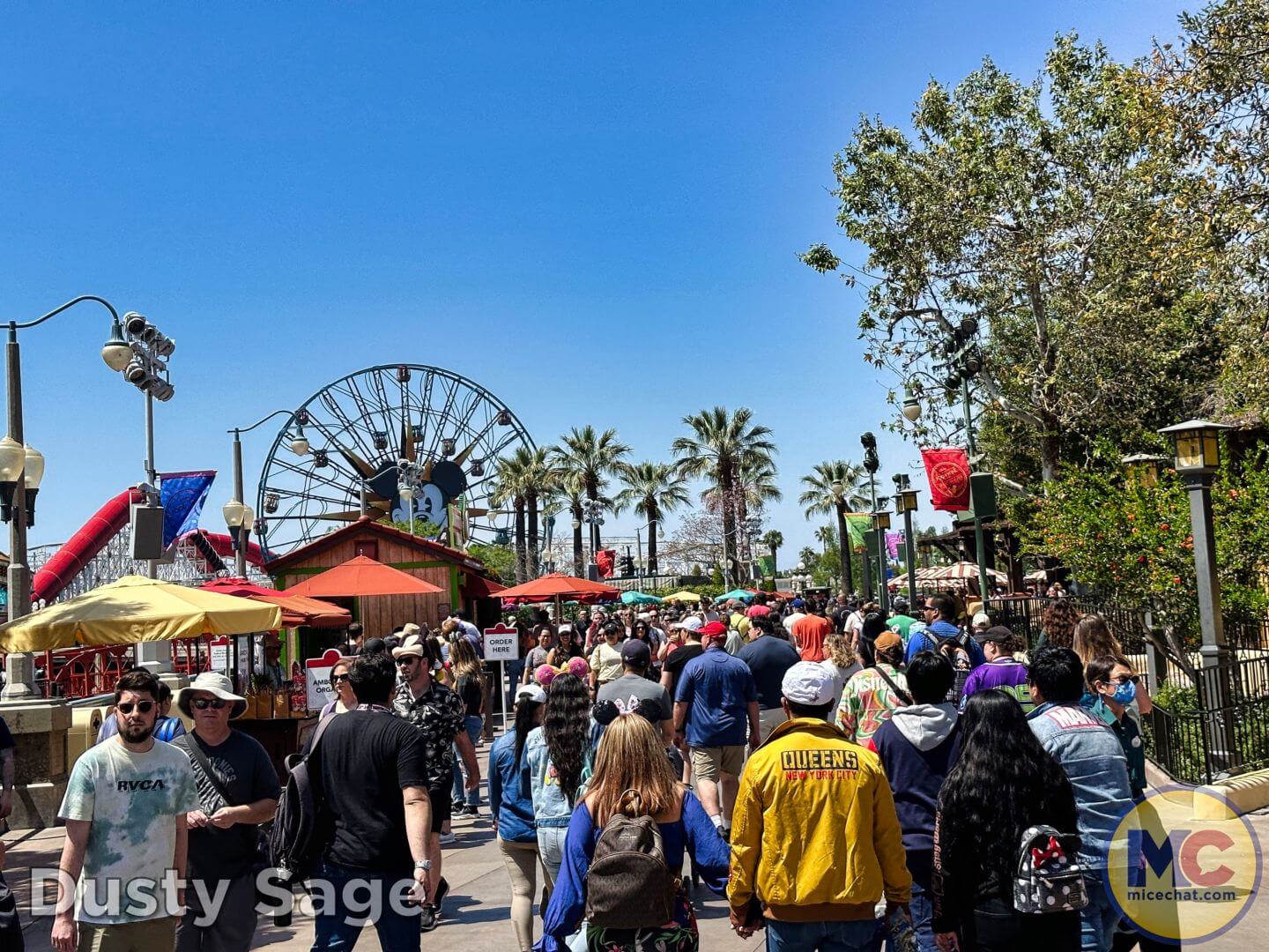 , Disneyland Update – From Doom to Bloom