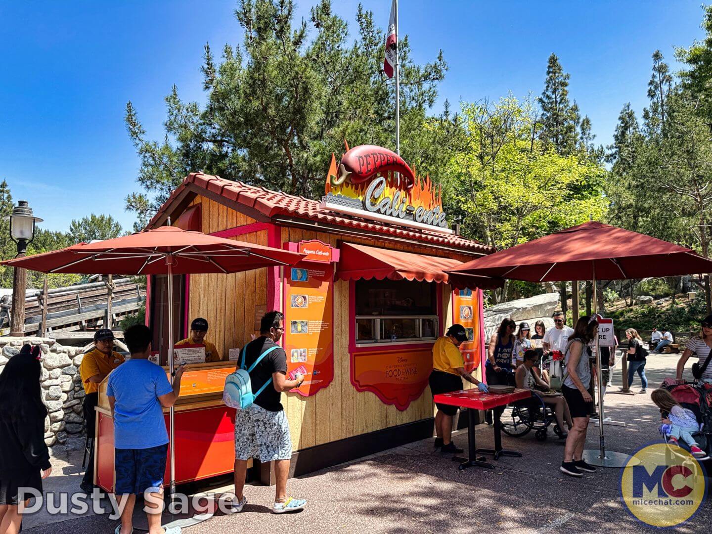 , Disneyland Update – From Doom to Bloom