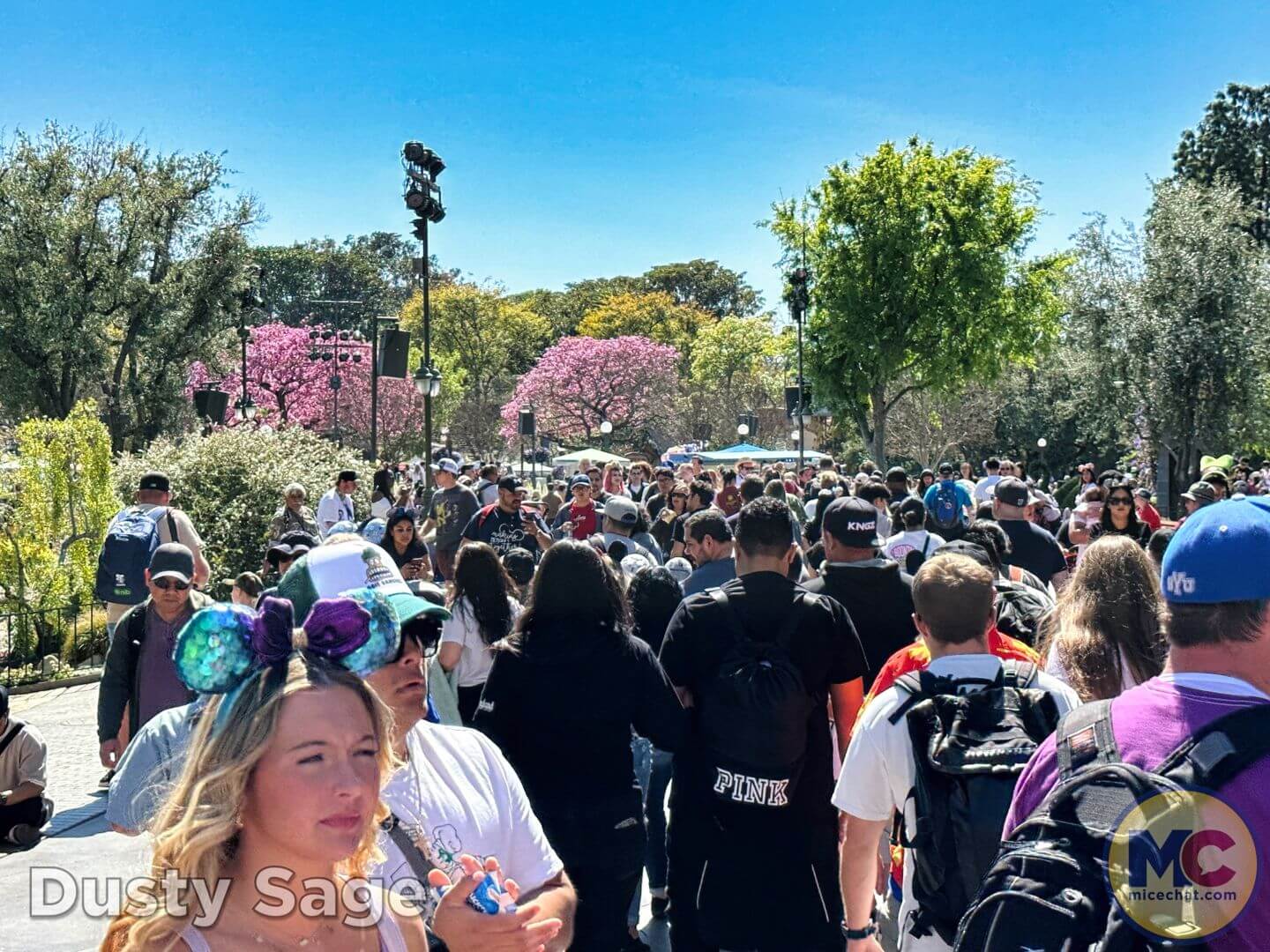 , DISNEYLAND UPDATE – Tickets Too High, Genie Too Low & Rogers The Musical!