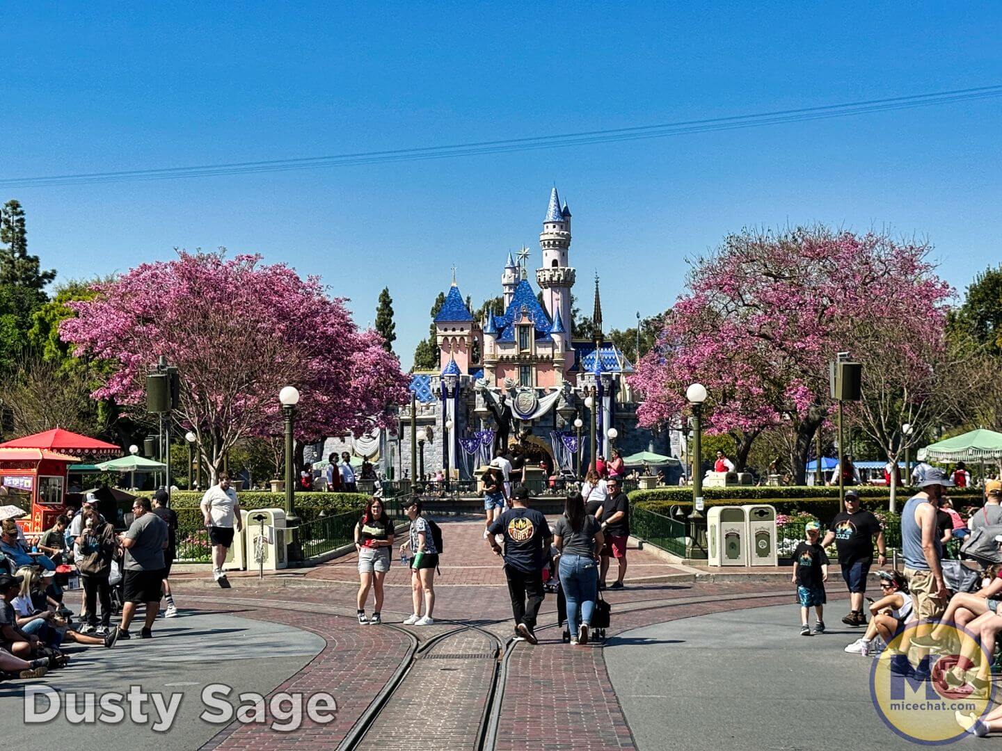 , Disneyland Update – From Doom to Bloom