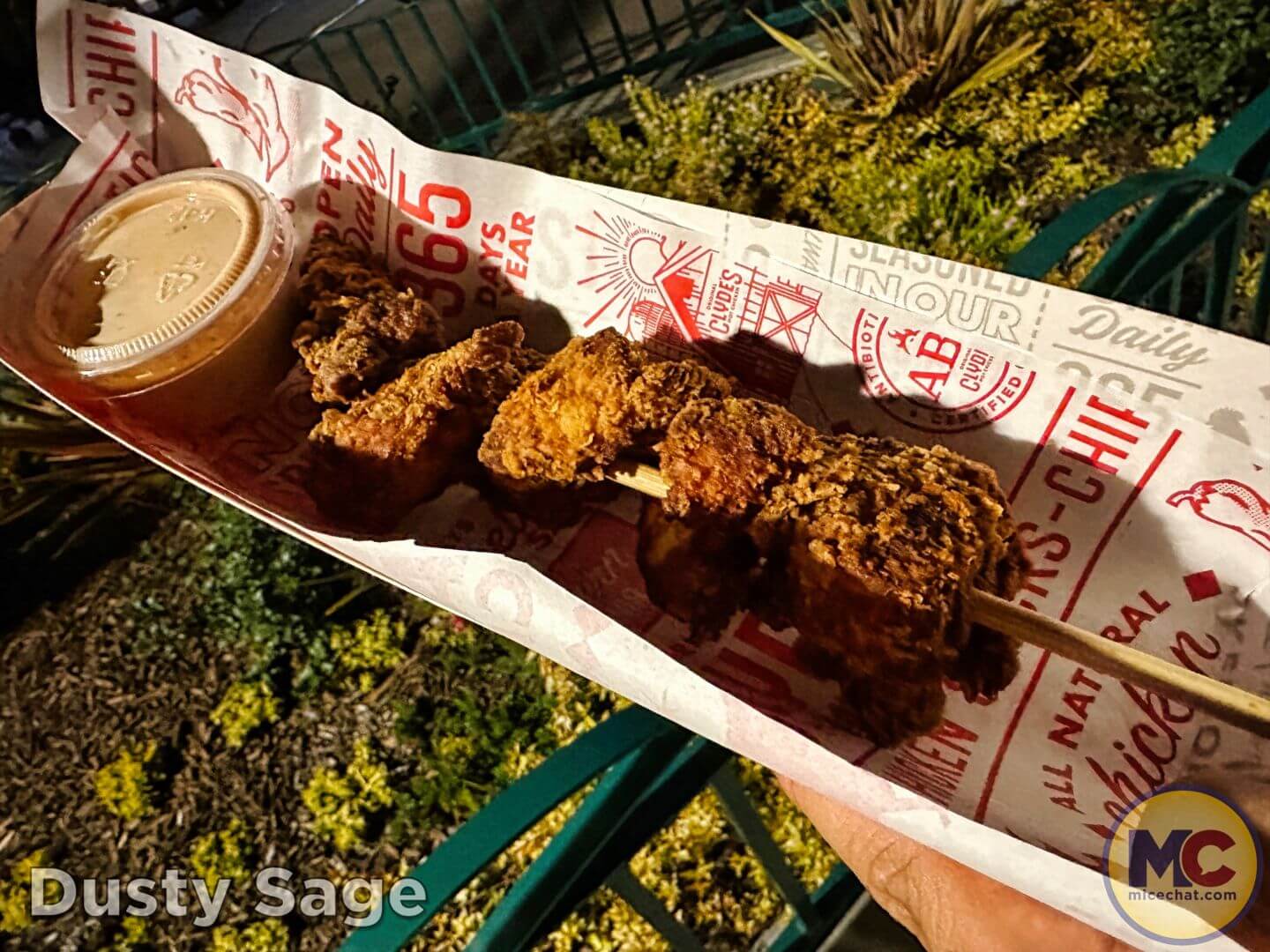 , Disneyland Update – From Doom to Bloom