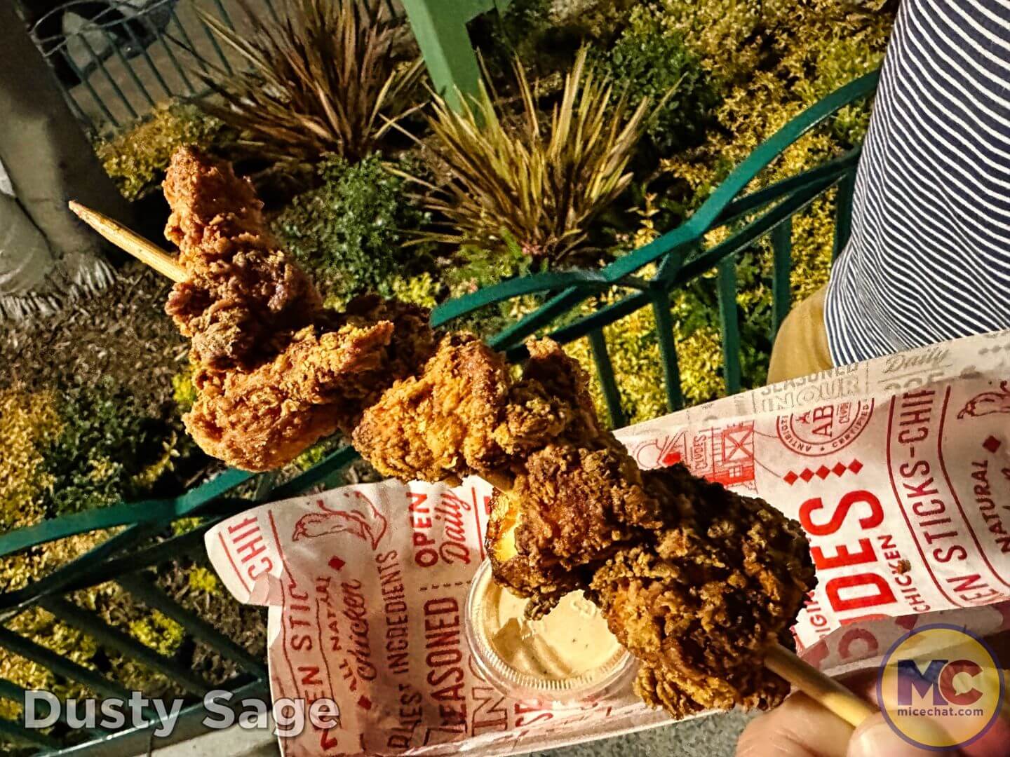 , Disneyland Update – From Doom to Bloom