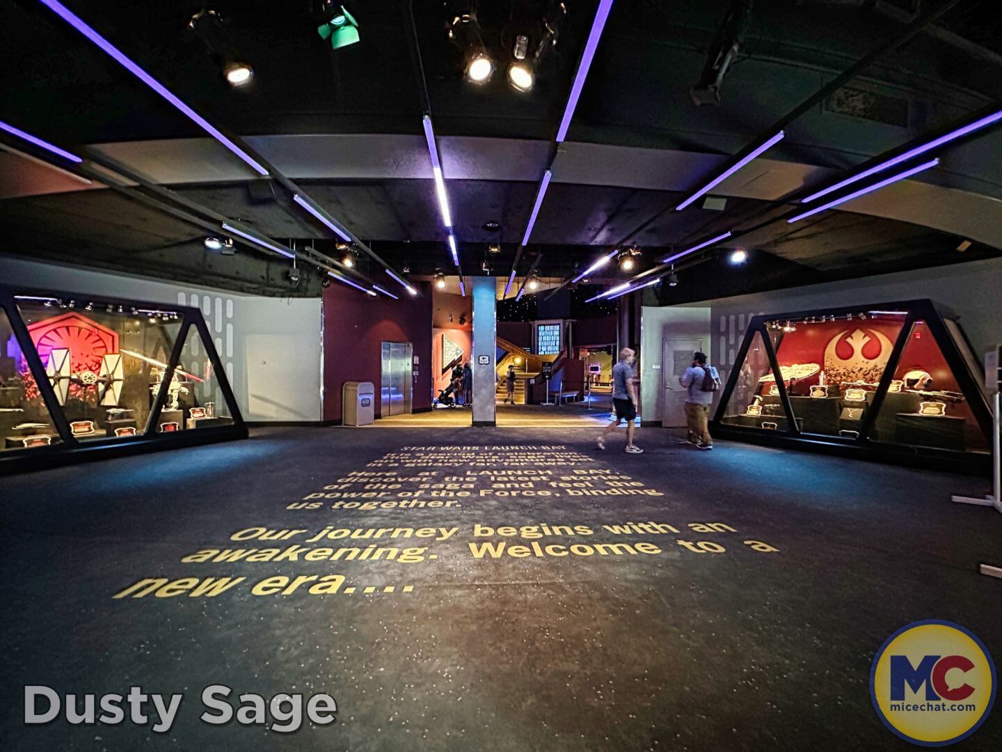 , Disneyland Update – From Doom to Bloom