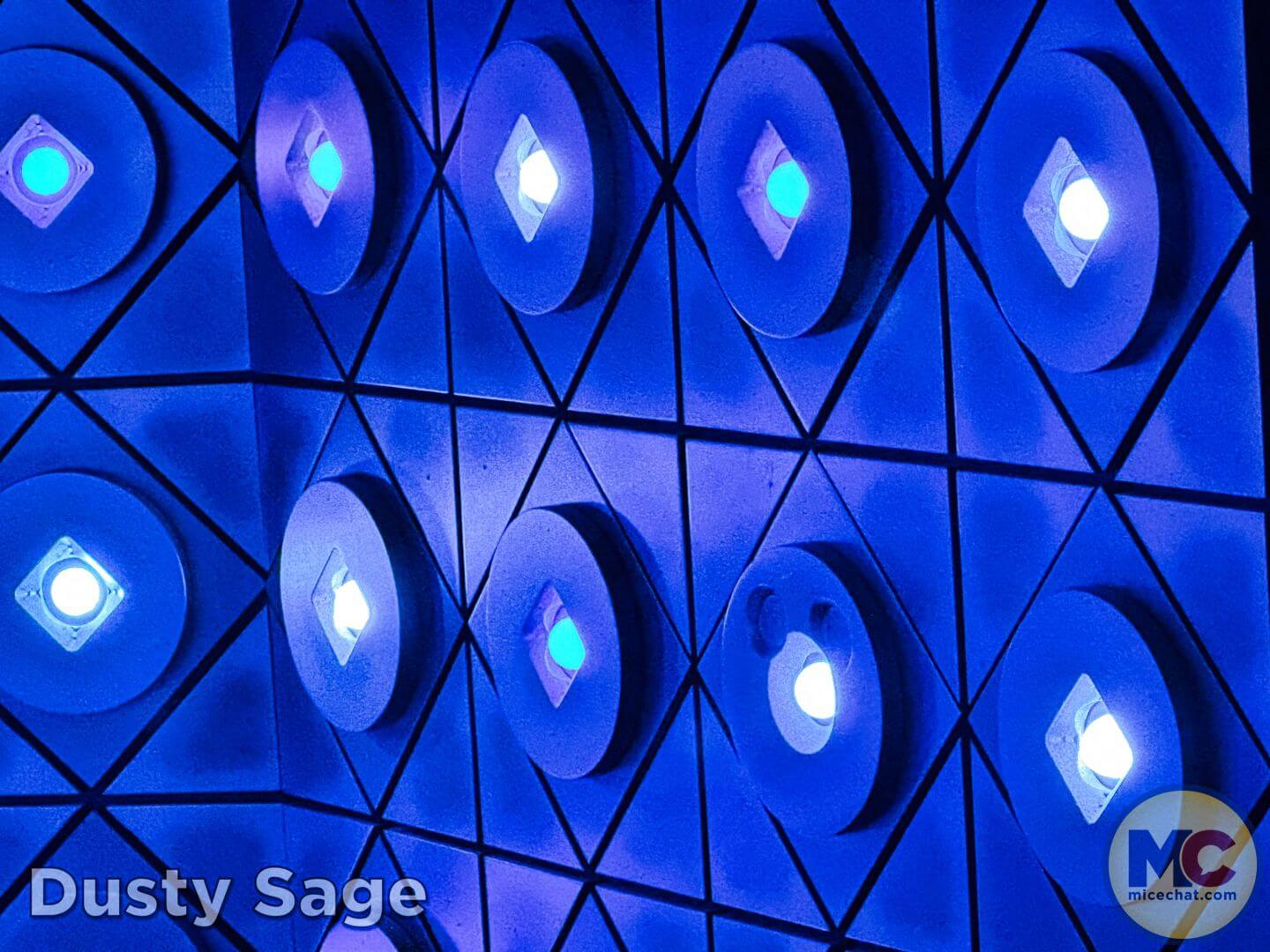 , Disneyland Update – From Doom to Bloom