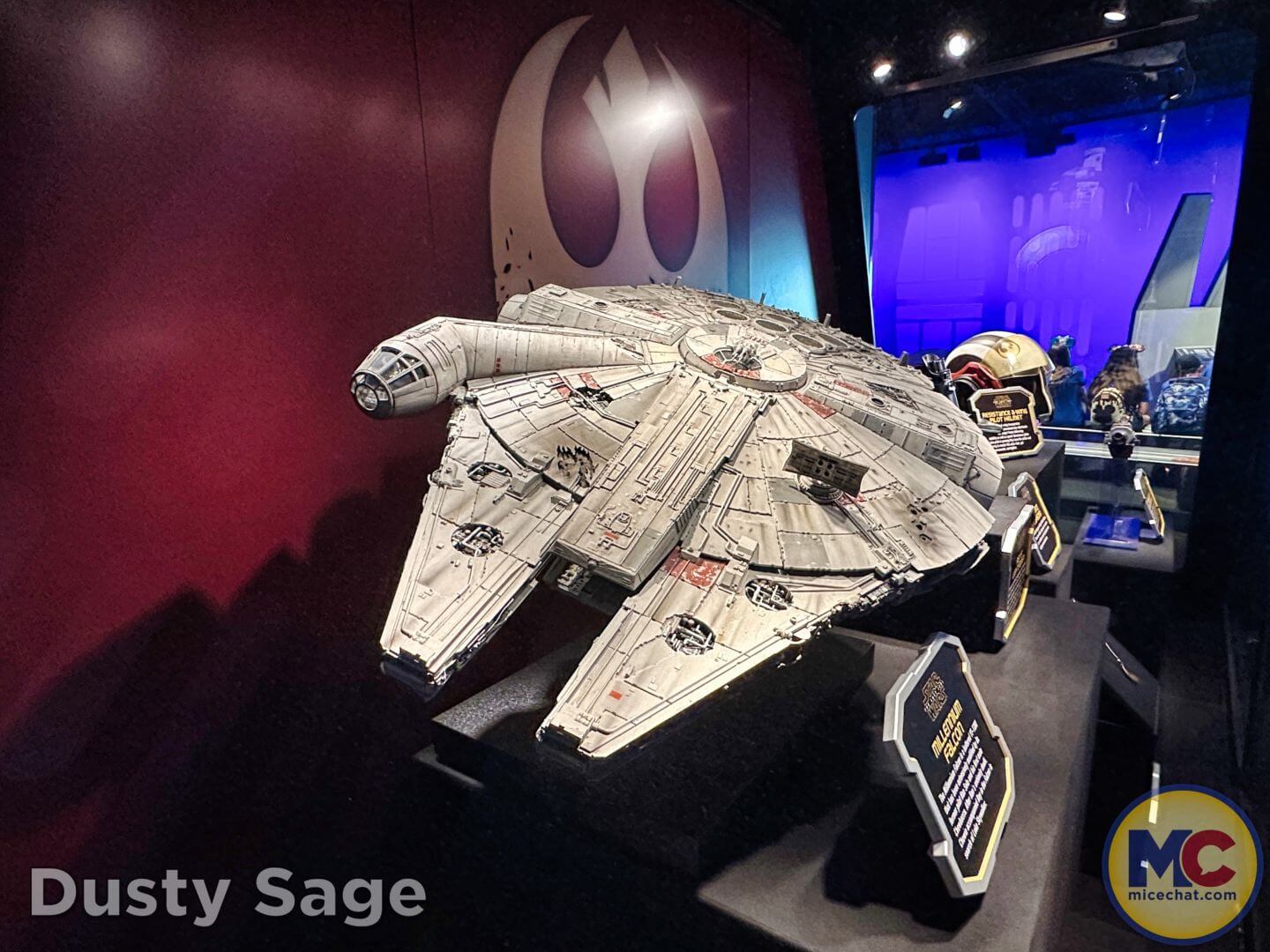 , Disneyland Update – From Doom to Bloom