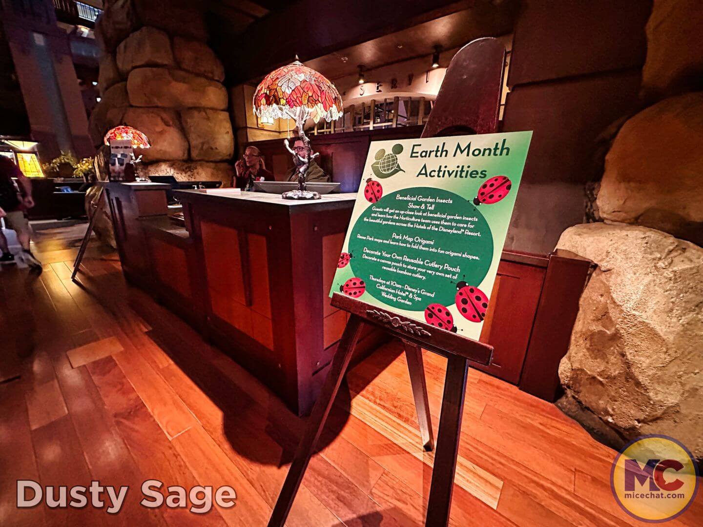 , Disneyland Update – From Doom to Bloom