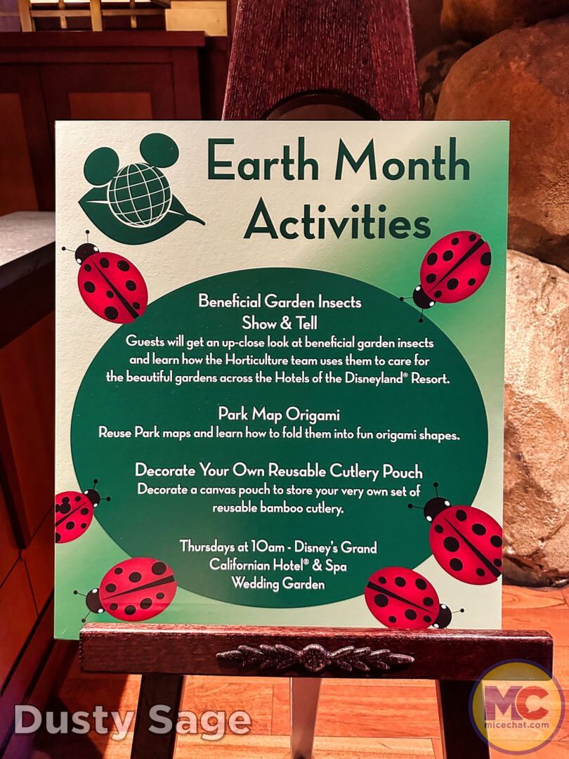 , Disneyland Update – From Doom to Bloom