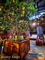 Disneyland News earth day grand cal tree 2 MiceChat