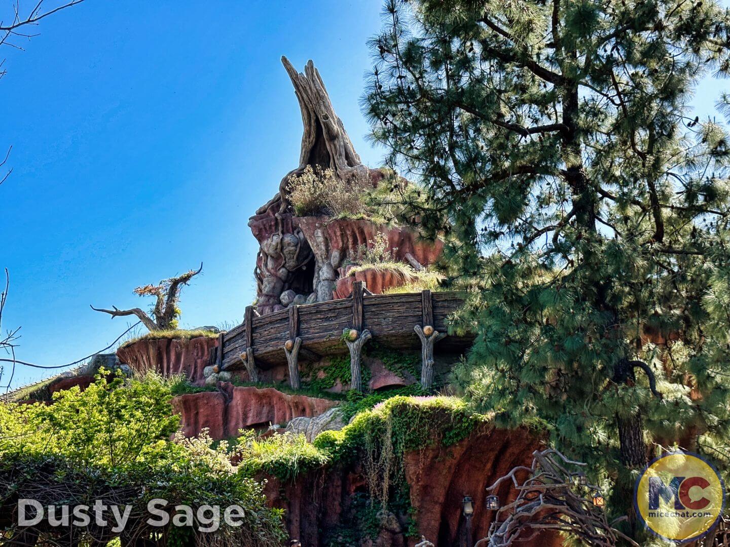 , Disneyland Update &#8211; From Doom to Bloom