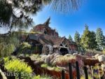 Disneyland News spring splash mountain 1 MiceChat