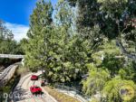 Disneyland News tomorrowland autopia 3 MiceChat