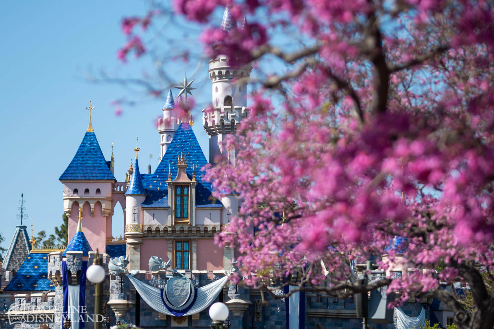 Disneyland, Disneyland Update: Fantasmic Aftermath, Spring Things &#038; Construction Views