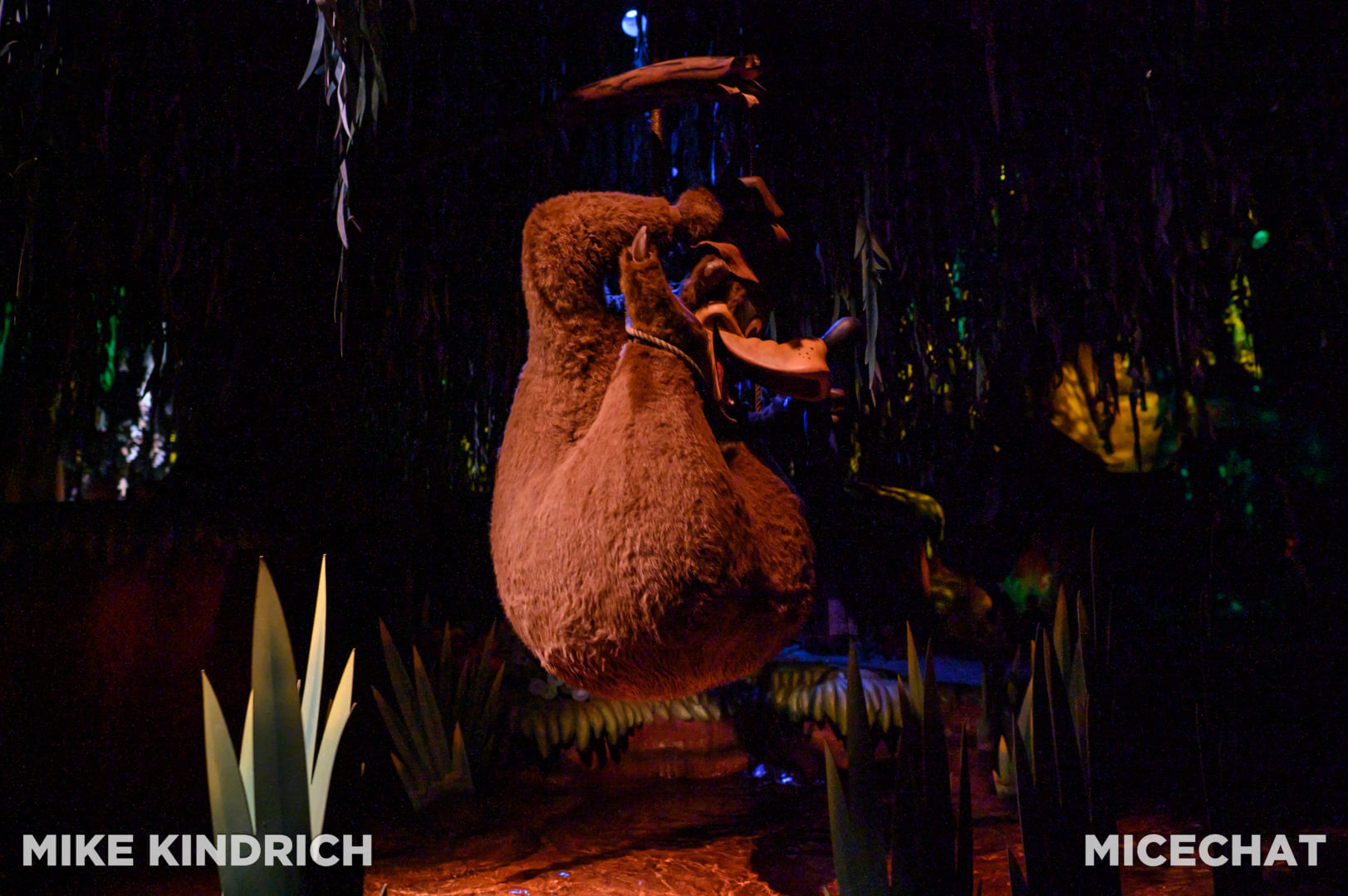 Splash Mountain, A Photo Farewell to Splash Mountain