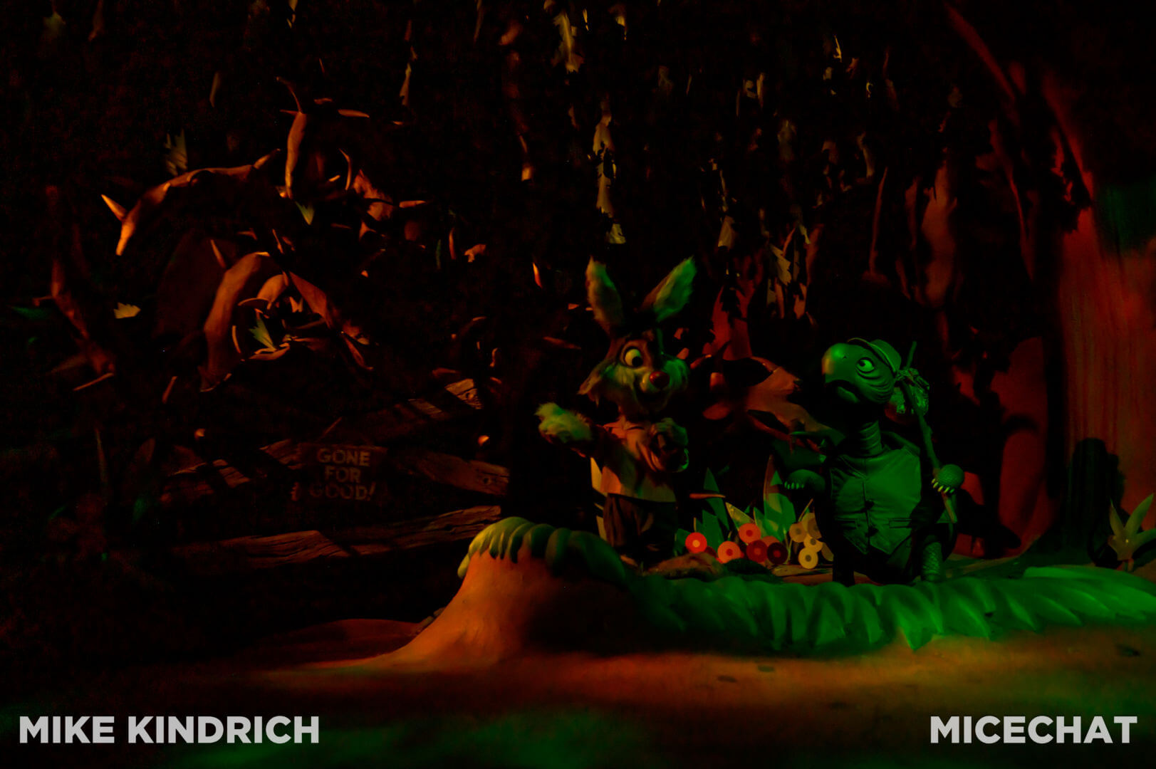 Splash Mountain, A Photo Farewell to Splash Mountain