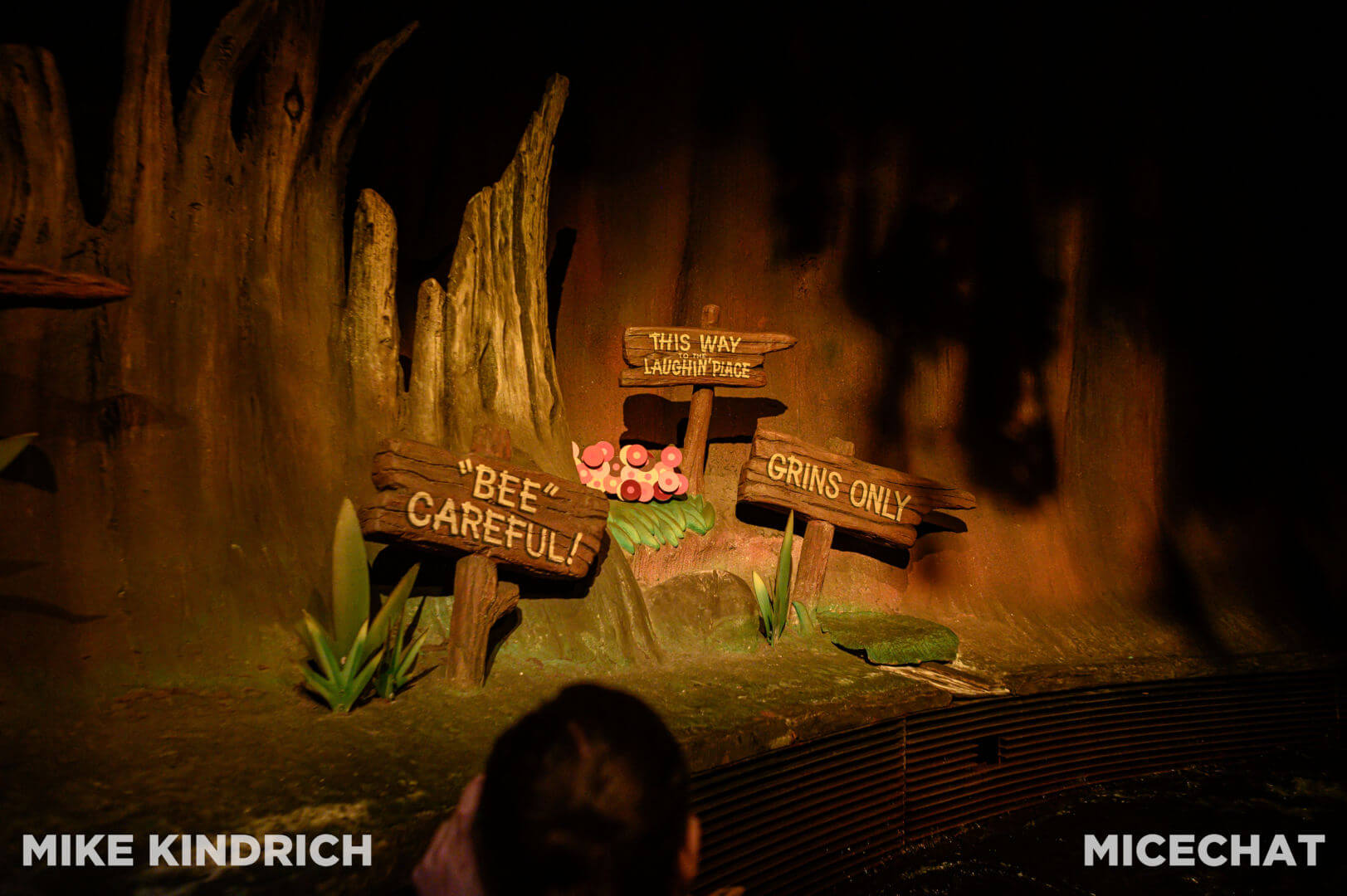 Splash Mountain, A Photo Farewell to Splash Mountain