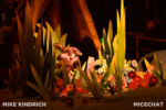 Disneyland_Critter Country_Splash Mountain (1 of 1)-28