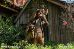 Disneyland_Critter Country_Splash Mountain (1 of 1)-3