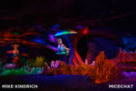 Disneyland_Critter Country_Splash Mountain (1 of 1)-30