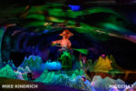 Disneyland_Critter Country_Splash Mountain (1 of 1)-31