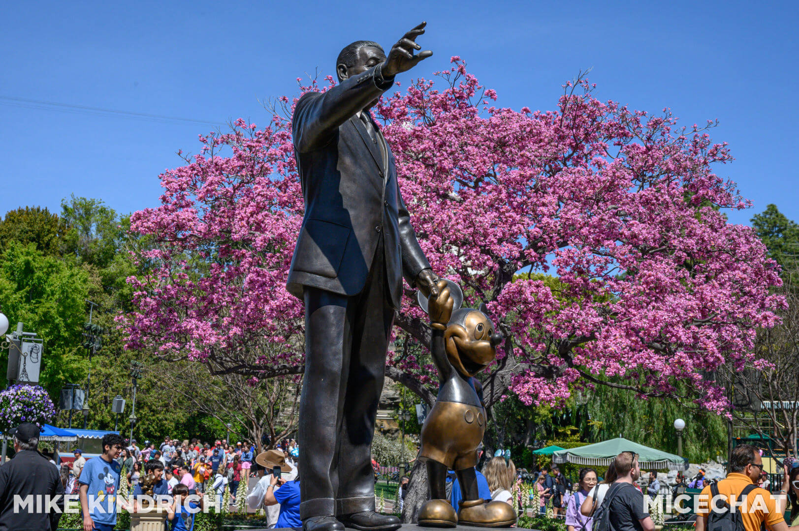 , DISNEYLAND UPDATE – Tickets Too High, Genie Too Low & Rogers The Musical!
