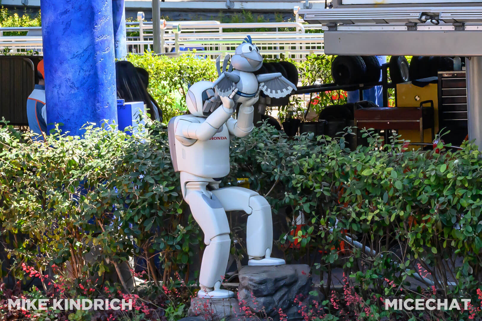 , DISNEYLAND UPDATE – Tickets Too High, Genie Too Low & Rogers The Musical!